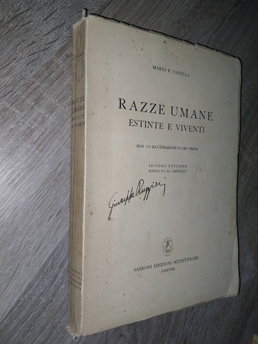 Canella razze umane - razze,