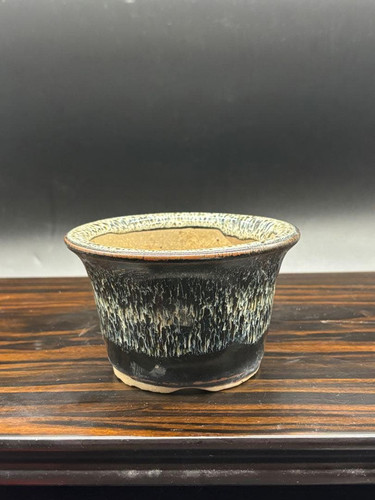 Mini raro vaso bonsai - raro,