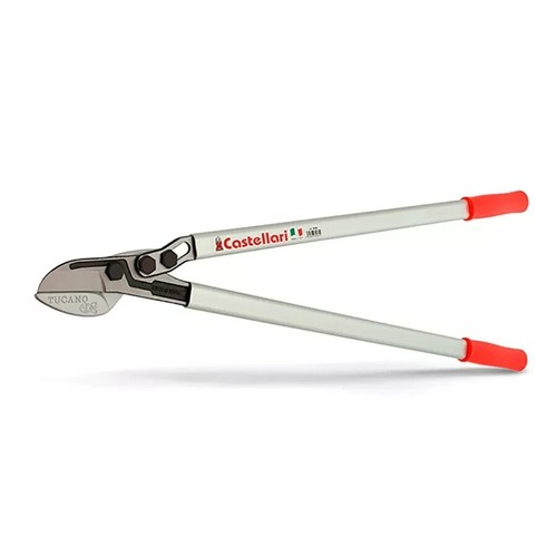Troncarami professionale - professionale, i