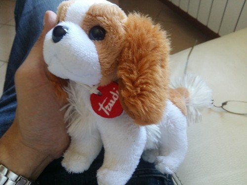 Cavalier king trudi peluche - king,