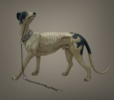 Levriero maculato animale corteo  Presepe Napoletano Scena  20x14 cm argilla