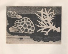 Giuseppe Viviani Fiori marini