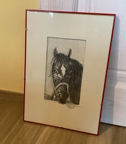 Quadro disegno cavallo - quadro,