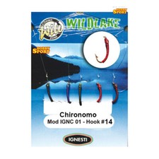 LENZA PRONTA COREGONE 5 AMI