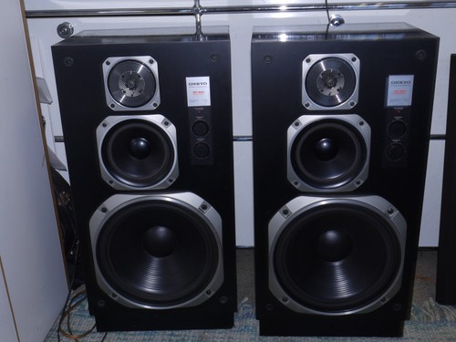 Paio altoparlanti onkyo - paio,