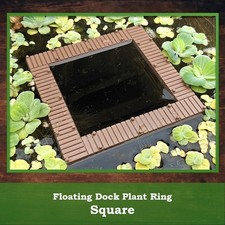 Anello Alimentazione Piante