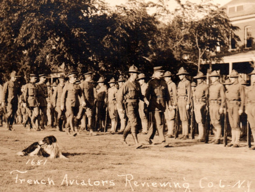 Wwi cane soldati - wwi, esercito