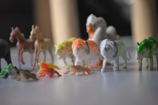 Lotto 21 Animali Misti in