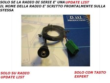 Cavo Aux MP3 iPod RENAULT CLIO MODUS MEGANE KANGOO Update list dal 2004 pannello