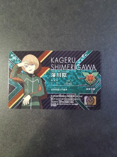 Carte inazuma eleven - carte,