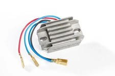 RICK'S MOTORSPORT ELECTRIC