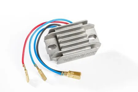 Rick motorsport electric - rick's,