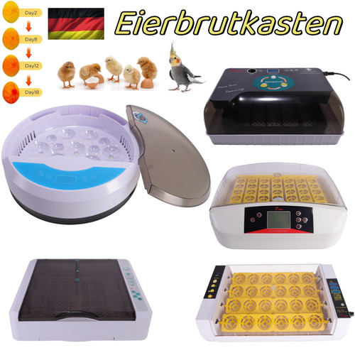 Incubatrice per uova per