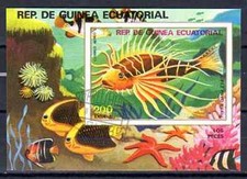 Pesci guinea equatoriale - guinea,