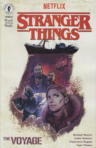 Stranger things the voyage - stranger, n.3