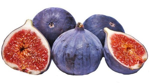 Varietà fico ficus carica - varietà,