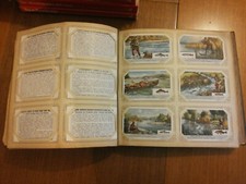 RACCOGLITORE CON 50 SERIE  DI