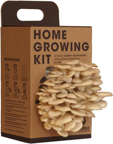 Kit coltivazione funghi casa - coltivazione, a
