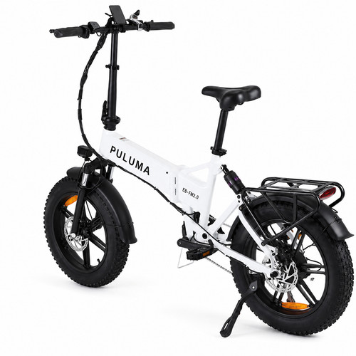 Bicicletta elettrica