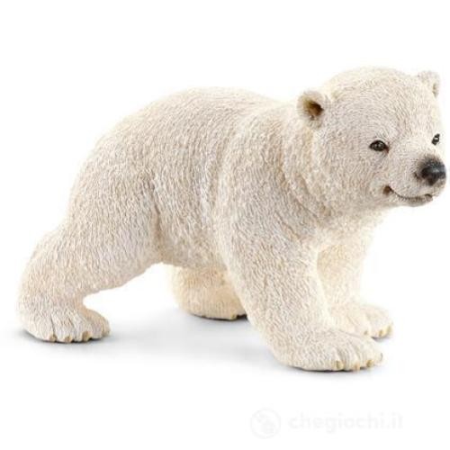 Cucciolo orso polare che - cucciolo,