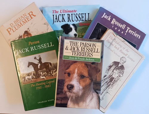 Parson jack russell terrier - parson,