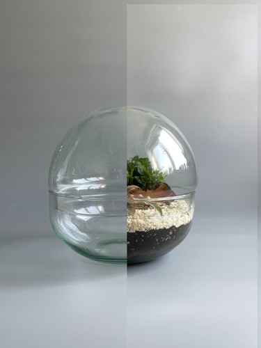 Contenitore terrario ciotola - contenitore,