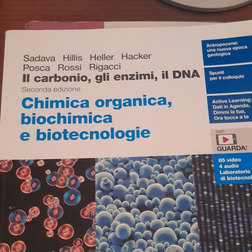 Carbonio gli enzimi il - carbonio,,
