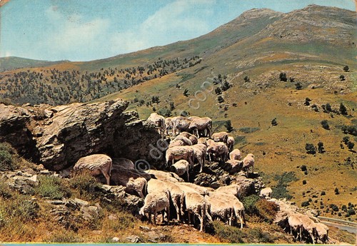 Cartolina sardegna gennargentu - sardegna,