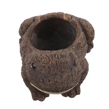  Vasetto Piante Grasse Vaso