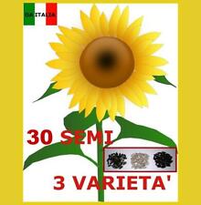 GIRASOLE GIGANTE - SUNFLOWER -