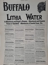 1899 Buffalo Lithia Stampa