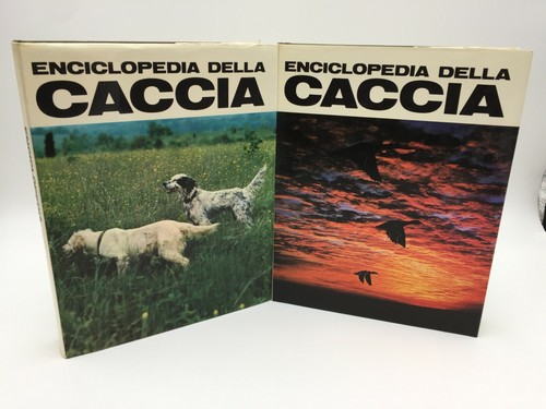 Piero pieroni enciclopedia - pieroni,