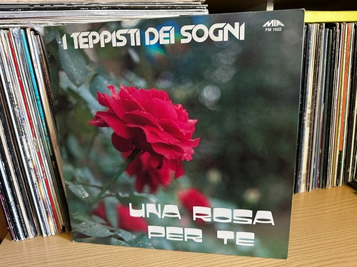 Teppisti dei sogni una - teppisti, –