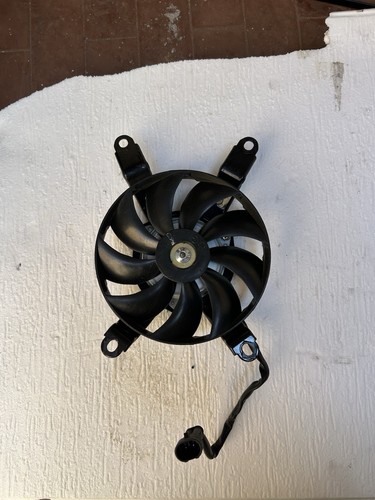 Ventola radiatore benelli - ventola,