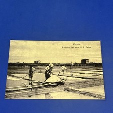 CERVIA RACCOLTO SALI NELLE R.R. SALINE - Bianco e nero Cartolina