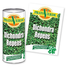 Semi dichondra repens gr - dichondra,
