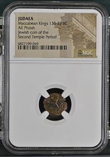 NGC Vedove Acaro AE Prutah