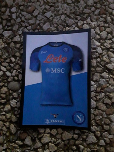 Calciarori 2022 2023 panini