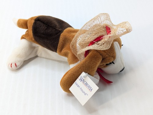Wachovia bean peluche cane - bean,