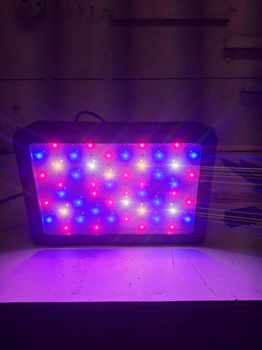 2000 watt full - spectrum, led