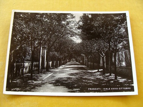 Frascati viale - (fg.a30),
