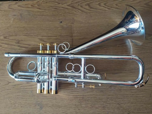 Berkeleywind firebird - bb,