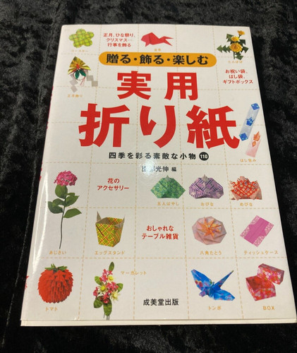 Pratico origami giapponese