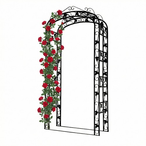 Arco per rose - , giardino