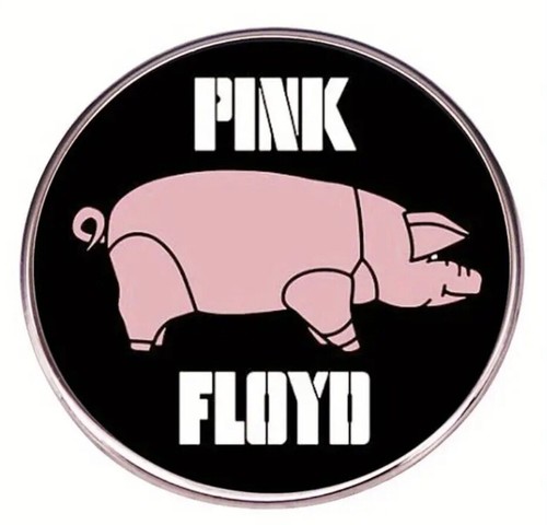 Spilla pink floyd - 🎵🐽🎵spilla,