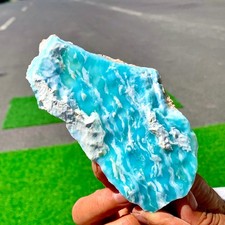 276G Splendido esemplare