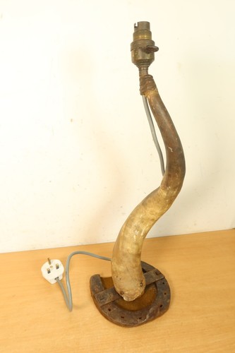 Vintage deer cow ram antler - vintage,