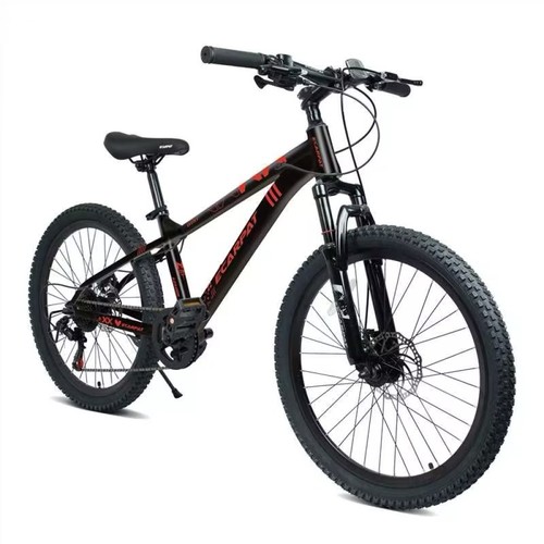 Mountain bike inch - inch, full
