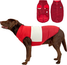 Cappotto Cane, Cappottino Cane