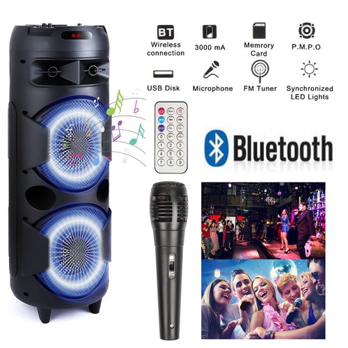 Dual woofer portable fm - woofer,